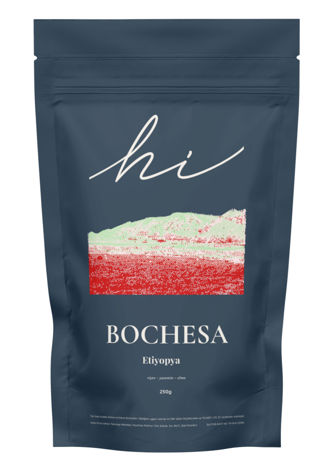 Bochesa (Anaerobik)