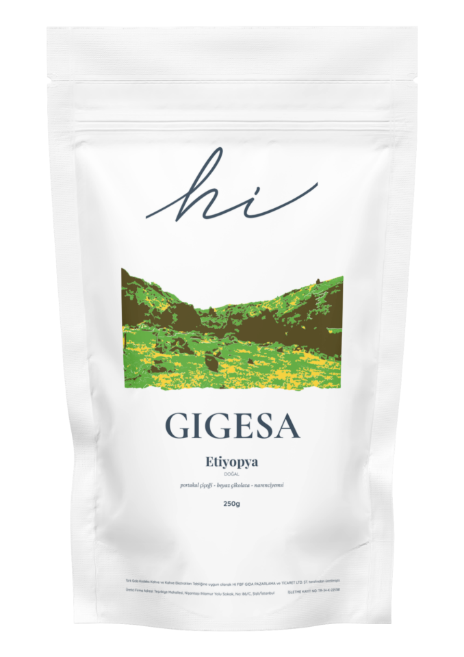 Gigesa